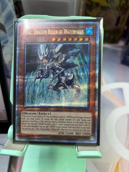 CR05-AES29 TIDAL, DRAGON RULER OF WATERFALLS 瀑征龍 潮汐